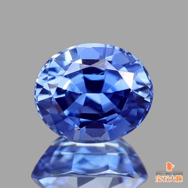 美しいコーンフラワーブルー♪