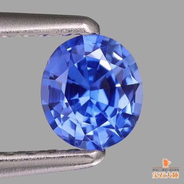 美しいコーンフラワーブルー♪