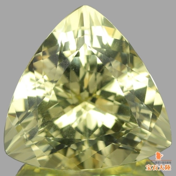 エクアドル産 タペストリー 鳥 ホワイト エスニック 天然ベリル 10.29ct 【煌めくイエロー】トリリアント マダガスカル