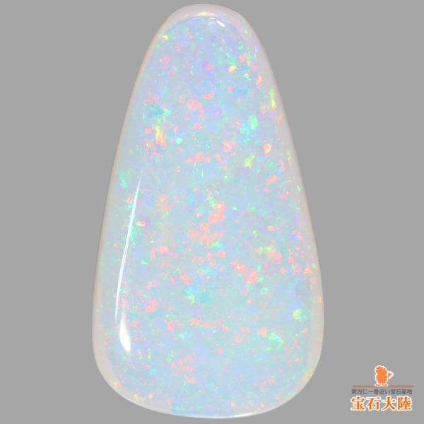 可愛らしいオパール♪