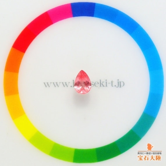 サイズをご確認ください♪