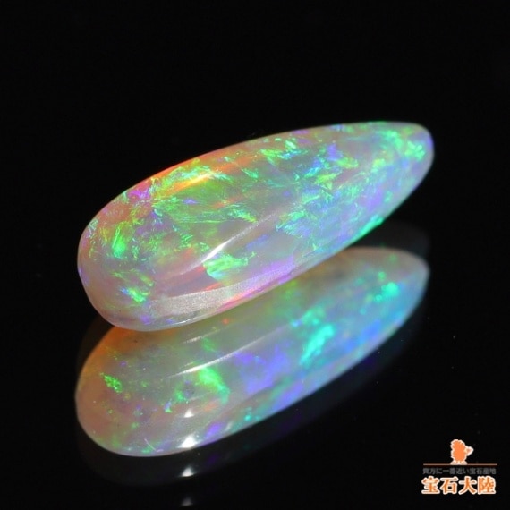 可愛らしいオパール♪