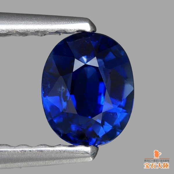 美しいロイヤルブルー♪