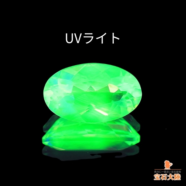 UVライトでエレクトリカルな蛍光反応♪