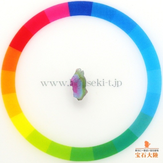 サイズをご確認ください♪