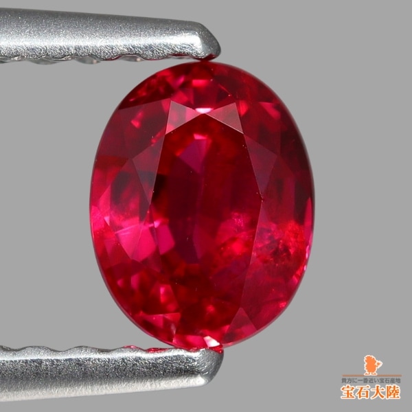 鮮明なレッド♪