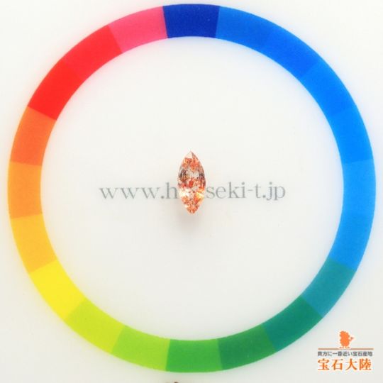 サイズをご確認ください♪