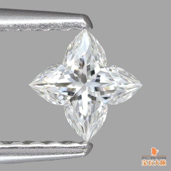 可愛らしいオーキディアカット♪