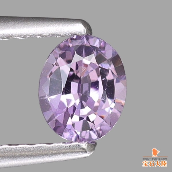 パキスタン産♪