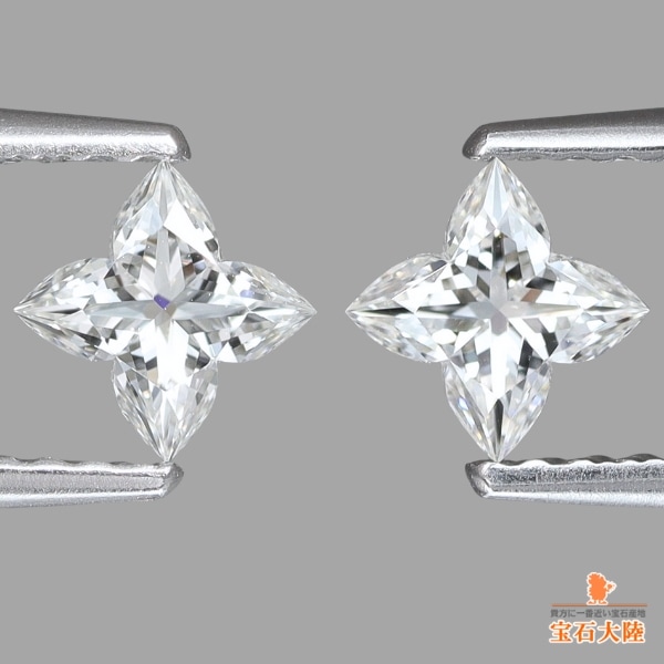 可愛らしいオーキディアカット♪