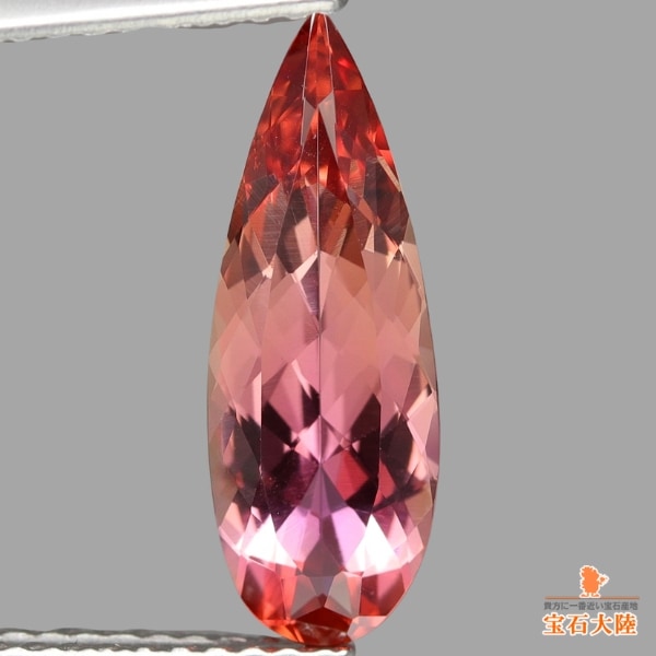 キラキラの輝き♪