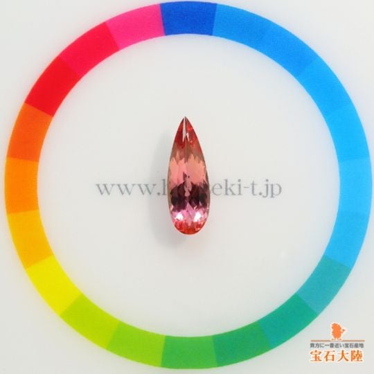 サイズをご確認ください♪