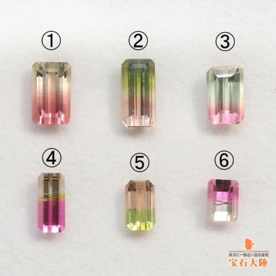 天然バイカラートルマリン 【グラデーション】コンゴ ◇セレクト