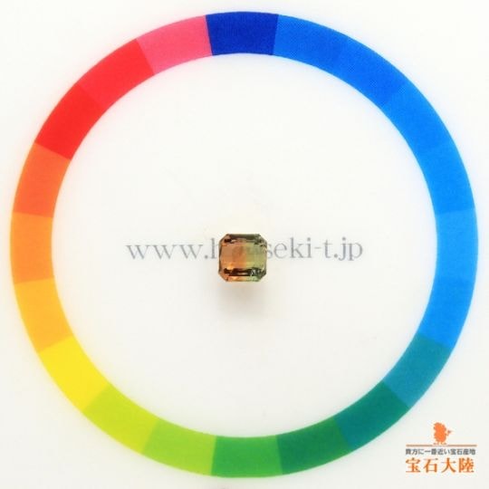 天然バイカラートルマリン 0.82ct 【美グラデーション】