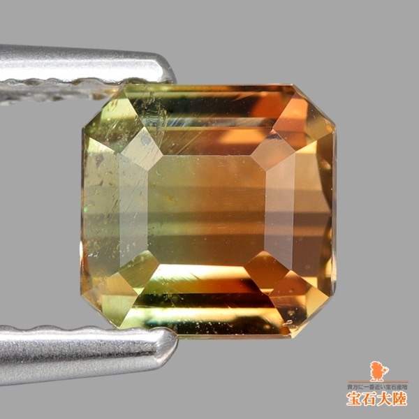 天然バイカラートルマリン 0.82ct 【美グラデーション】