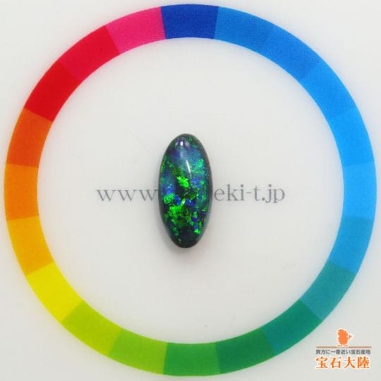 サイズをご確認ください♪