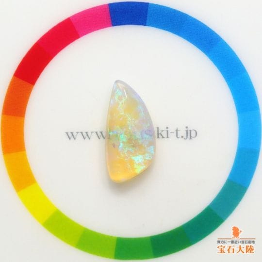 サイズをご確認ください♪