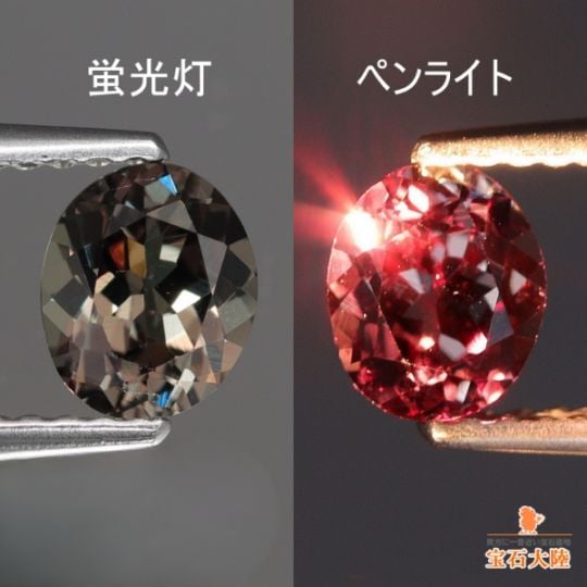 お値下げ［美品］1908  INTER チェス GZ-DKSP-0406 ダブルニーショーツ -SLV- - 倉敷美観地区デニム