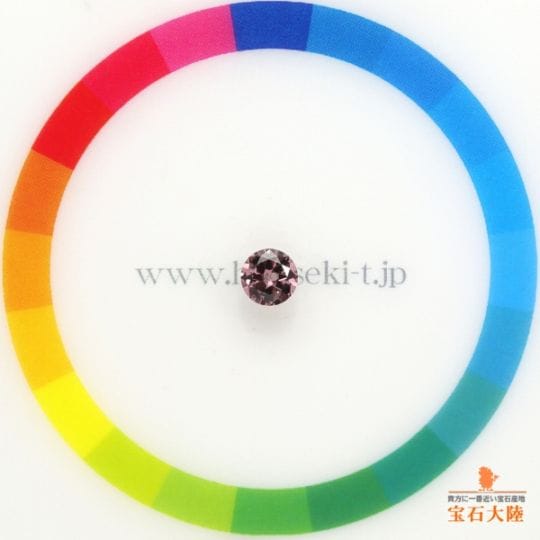 サイズをご確認ください♪