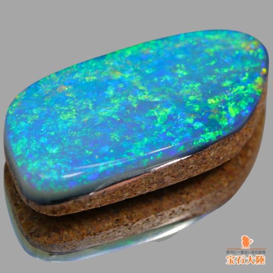 ネオンの様な鮮やかさ♪