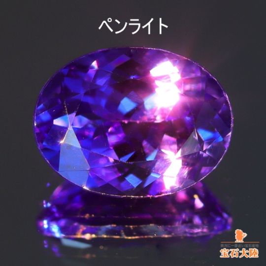 白熱灯を照射♪