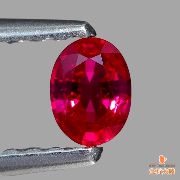 美しい色乗り♪