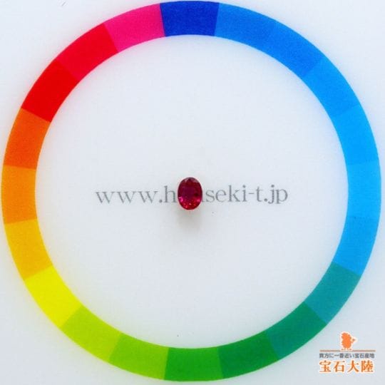 サイズをご確認ください♪