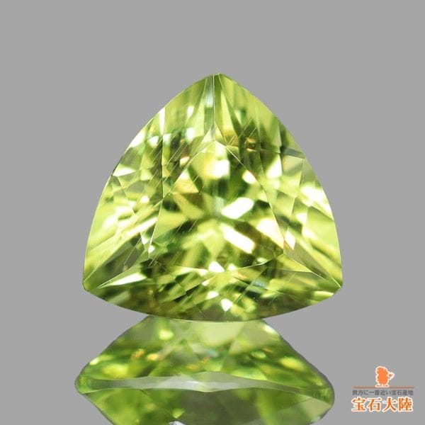 天然バイカラートルマリン 3.52ct 【極上グラデーション】アフガニスタン