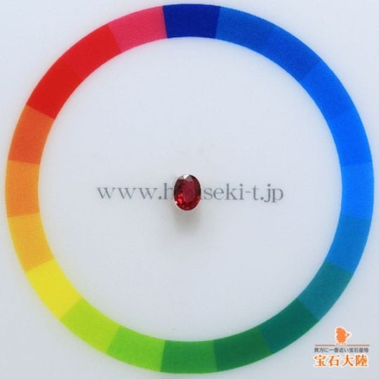 サイズをご確認ください♪