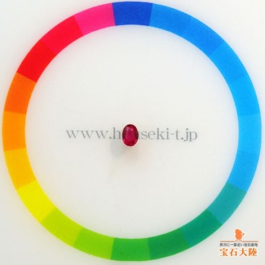 サイズをご確認ください♪