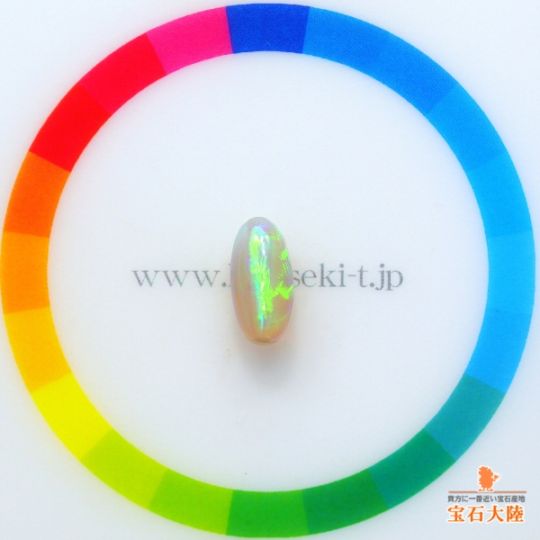 サイズをご確認ください♪