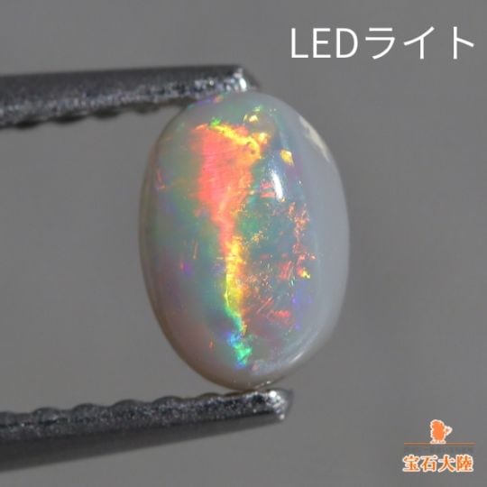 天然ブラックオパール 5.29ct 【骨化石】 オーストラリア