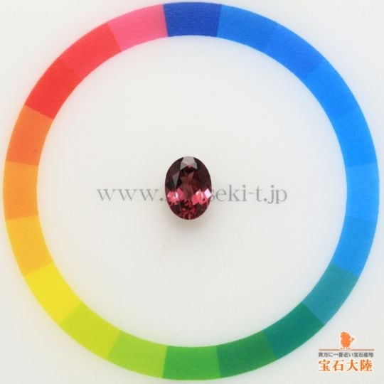 サイズをご確認ください♪