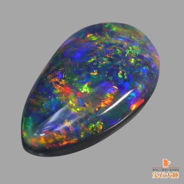 細かな斑がびっしりと♪