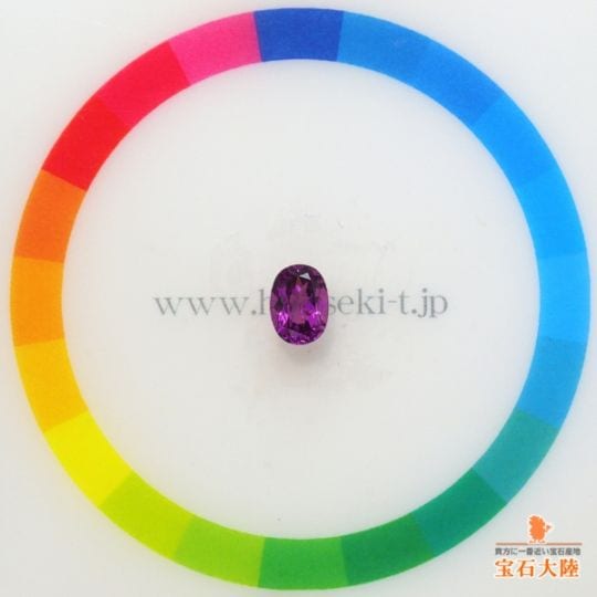 サイズをご確認ください♪