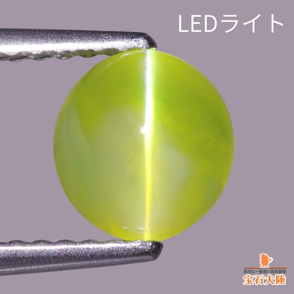 天然クリソベリルキャッツアイ 2.16ct 【シャトヤンシー】