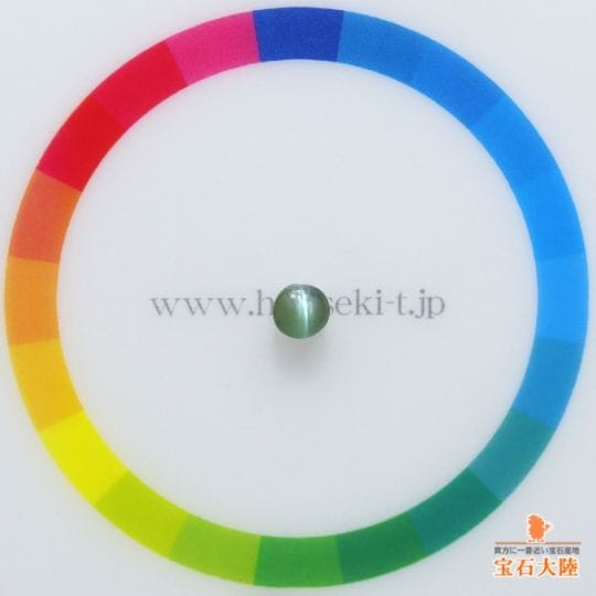 サイズをご確認ください♪