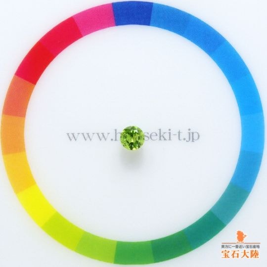 サイズをご確認ください♪