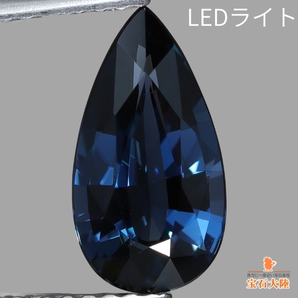 LEDライト（屋外自然光風)♪