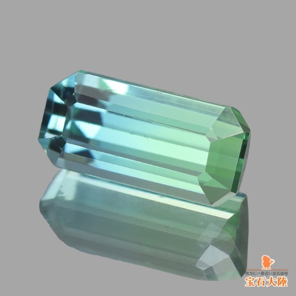天然バイカラートルマリン 0.92ct 【美グラデーション】アフガニスタン