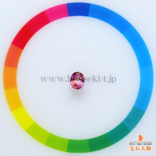 サイズをご確認ください♪