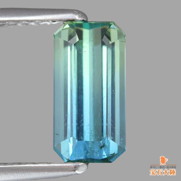 天然バイカラートルマリン 1.29ct 【美グラデーション】アフガニスタン