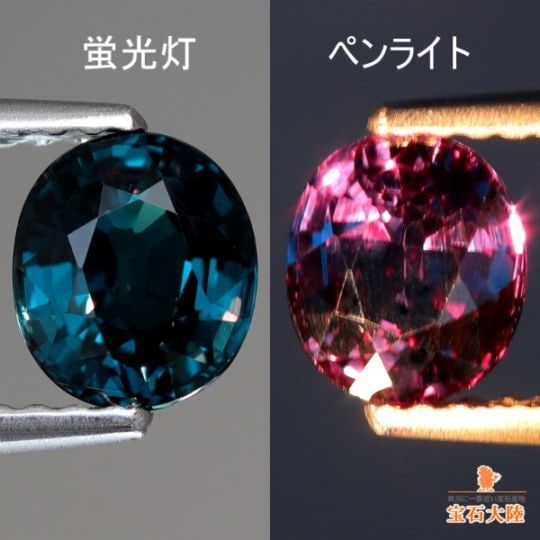 天然カラーチェンジガーネット 1.07ct 【アレキタイプ】マダガスカル・ベキリー