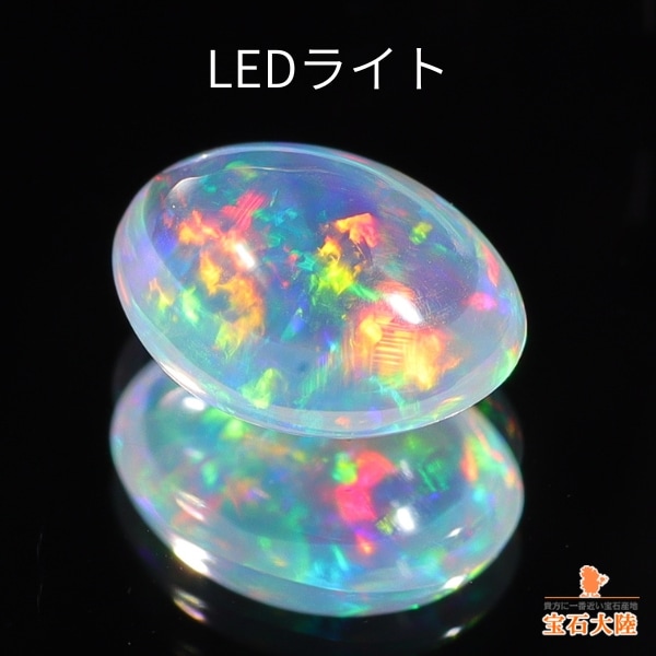 瑞々しいクリアボディ♪