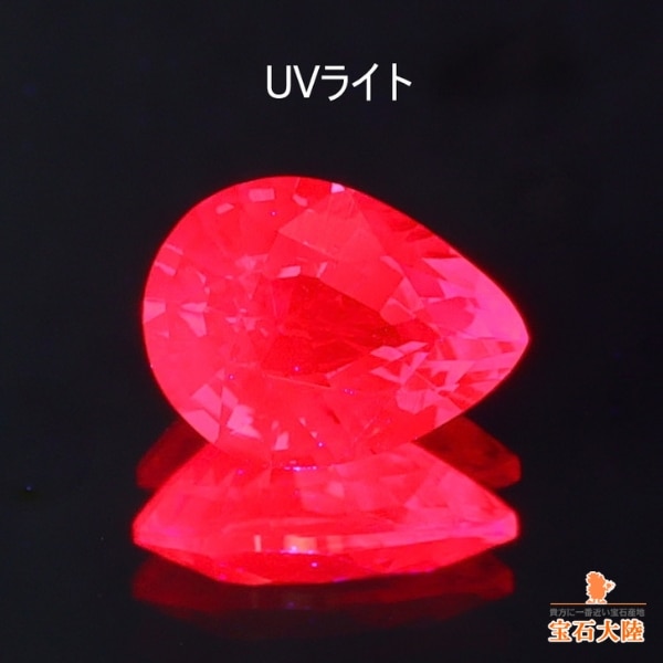 UVライトでエレクトリカルに♪