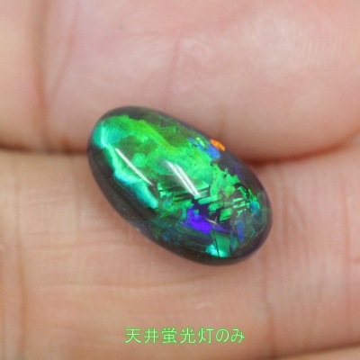 天井蛍光灯のみで撮影♪