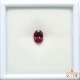 天然ロードライトガーネット 1.70ct 【ワインレッド】 良色