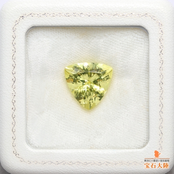 エクアドル産 タペストリー 鳥 ホワイト エスニック 天然ベリル 10.29ct 【煌めくイエロー】トリリアント マダガスカル
