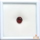 天然スペサルティンガーネット 2.61ct 【レッドスペサ】 輝き
