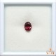 天然ロードライトガーネット 1.78ct 【ワインレッド】 良色